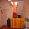 PEEPAL TREE PRESCHOOL AND DAYCARE